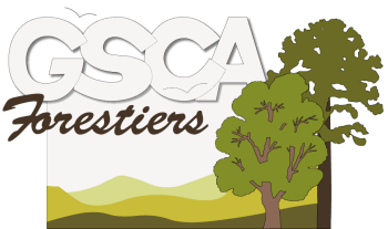 logo gsca